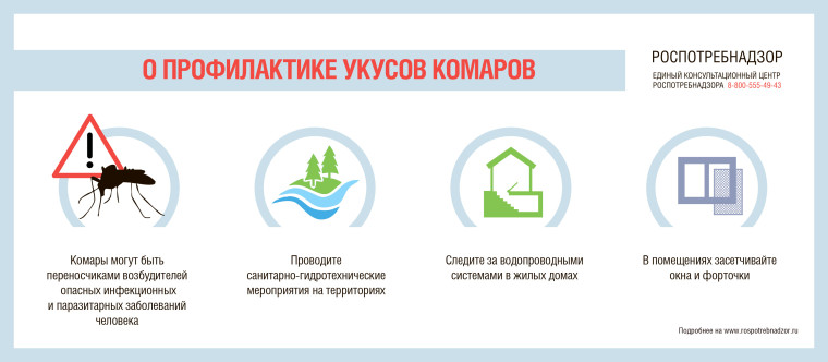 РЕКОМЕНДАЦИИ ГРАЖДАНАМ: Профилактика укусов комаров.