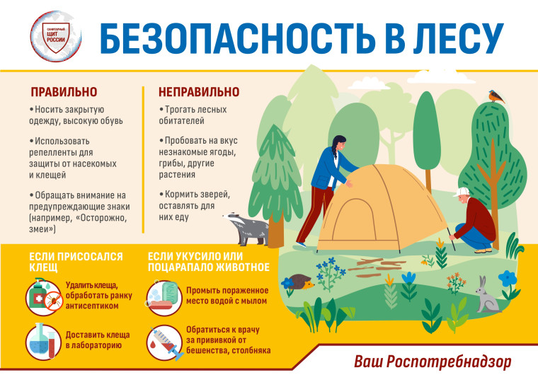 О старте «горячей линии» по вопросам профилактики заболеваний, передающихся с укусом клещей.